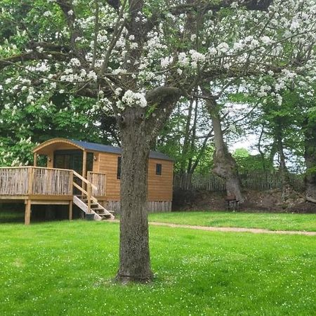 Roulotte Escapade Nature A Morainville - Normandie 外观 照片